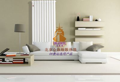 家用散熱器品牌介紹施工要求 - 金旗艦 - 九正(中國建材第一網(wǎng))