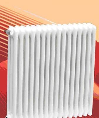 心飾家富興系列FUXING鋼三柱散熱器FX-G3-300/1產品價格_圖片_報價_新浪家居網