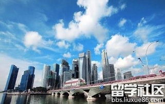 解析自費(fèi)出國(guó)留學(xué)中介資質(zhì) 如何辨別正規(guī)與專業(yè)服務(wù)機(jī)構(gòu)